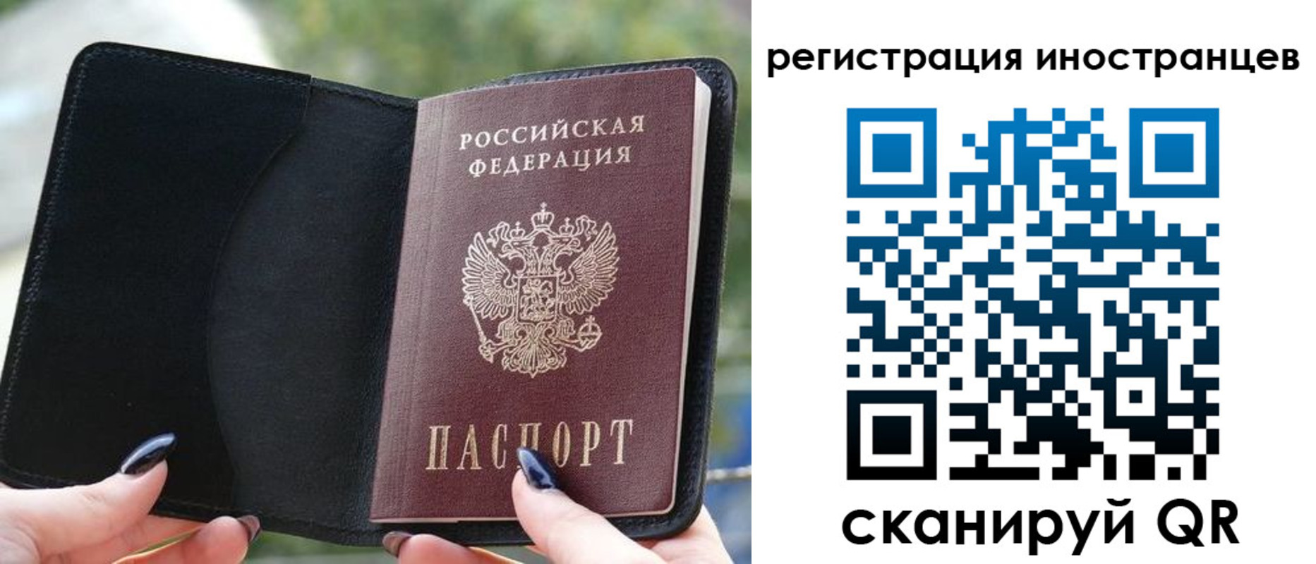 найти адрес прописки в Николаевске
